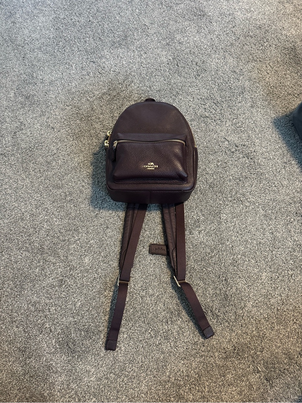 Coach Wine/Burgundy Pebbled Leather Mini Backpack